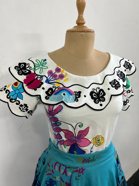 Fully embroidered mirabel inspired costume