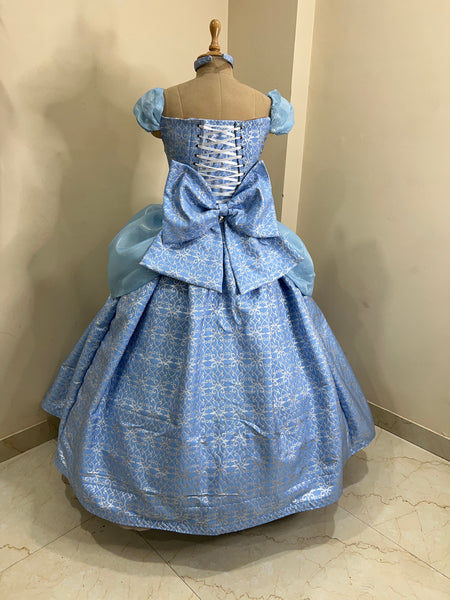 Costume with 3D metallic brocade fabric Parks accurate cinderella