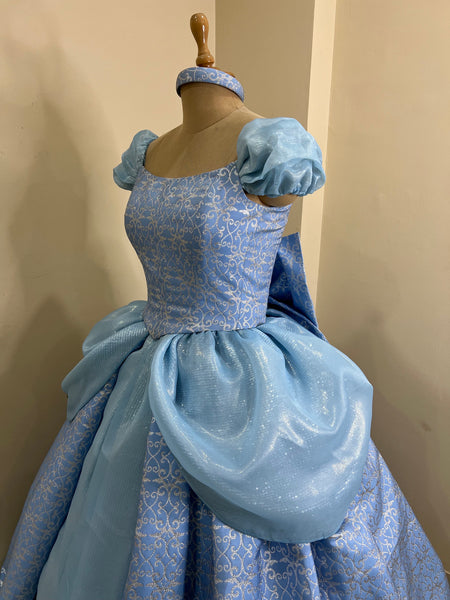 Costume with 3D metallic brocade fabric Parks accurate cinderella