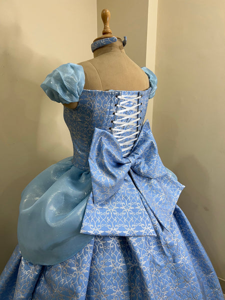 Costume with 3D metallic brocade fabric Parks accurate cinderella