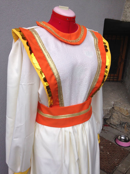 Prince ali aladdin park costume